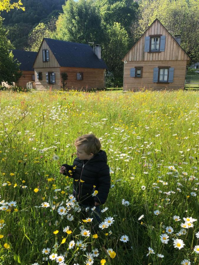 Les Chalets D'Arrens Екстер'єр фото